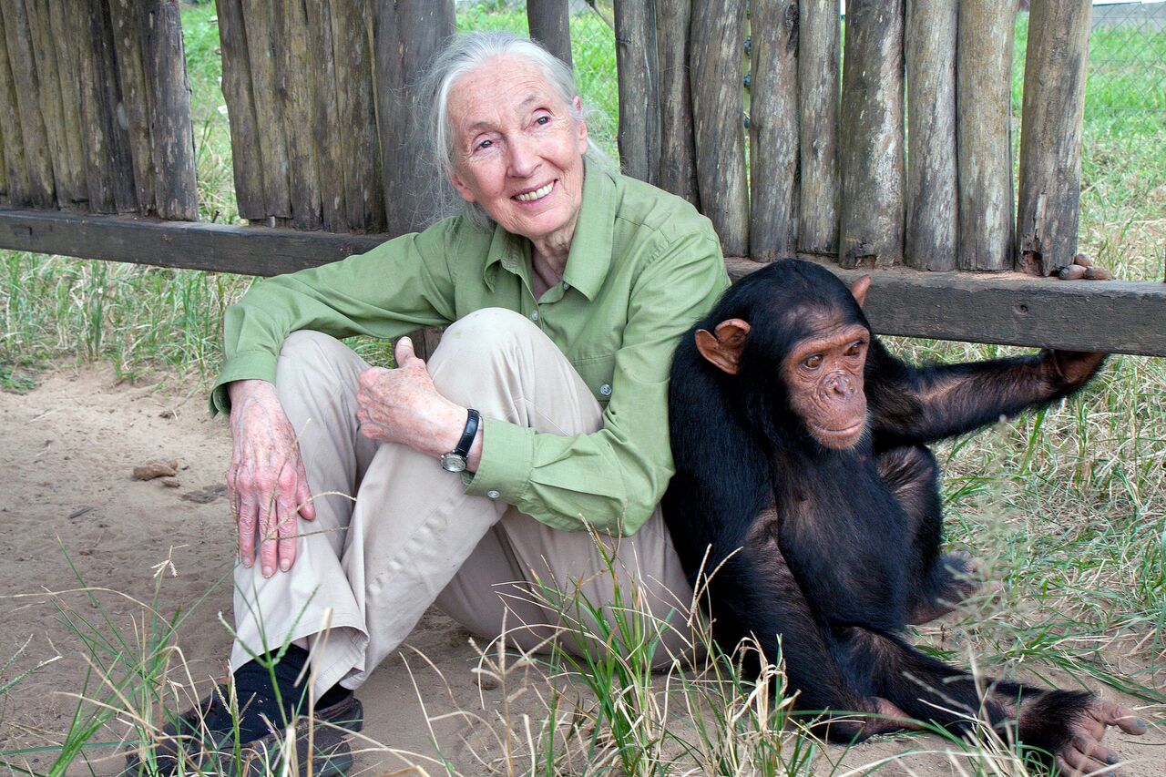Jane Goodall Institute